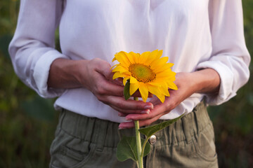 An adult blonde girl in a white shirt and green shorts holds a sunflower flower in her hands. Young woman with yellow flower in summer
