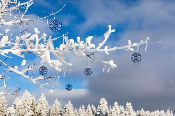 Zweige eines mit Schnee bedecketen Baumes mit Covid-19-Viren, vor blauem Himmel.