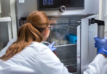 Biologist taking out samples from incubator