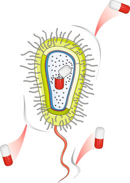 Multidrug resistance power of bacteria
