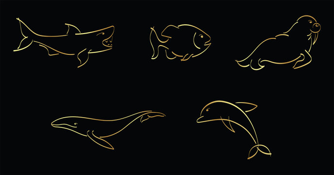Golden outline set of shark, fish, piranha, walrus, whale, dolphin