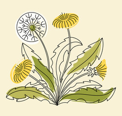 Illustration vector linart dandelion with paint spots. Print cottage core