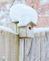 bird house in the snow