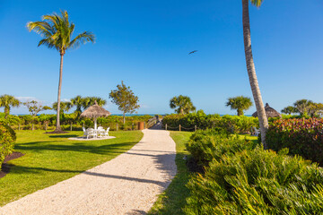 Obraz premium Way to the beach through park and green stuff