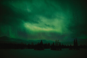 northern lights in the night sky