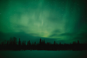 Fototapeta premium northern lights in the night sky