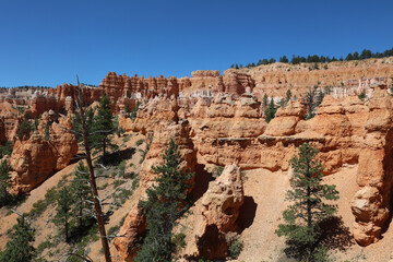 Rock Formation in Bryce Canyon National Park. Utah. USA