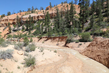 Rock Formation in Bryce Canyon National Park. Utah. USA