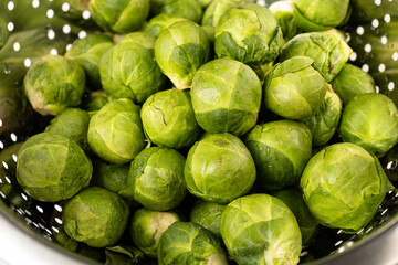 Brussels sprouts - fresh from the field