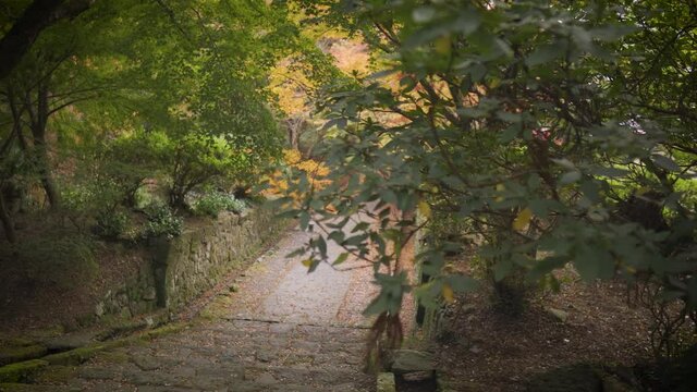 国東半島_両子寺_スラーダー撮影_13