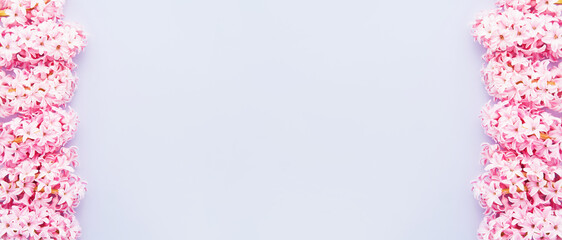 Banner. Pink hyacinth flowers border on a light blue background. Top view, copy space