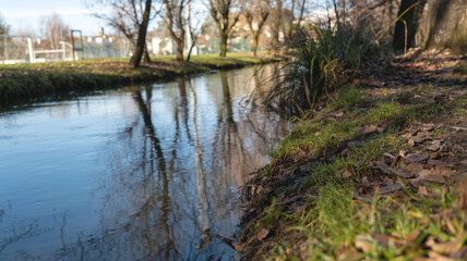small river in the park with tree reflections