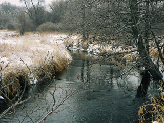 Creek in Winter: Water in a creek runs through a snow covered prairie with a few bare trees along the banks of the river on a winter day