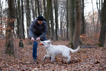 The owner is playing ball with a white swiss shepherd in the woods