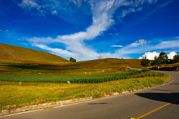 tardeando cerca a la laguna, un pueblo y los cultivos 
