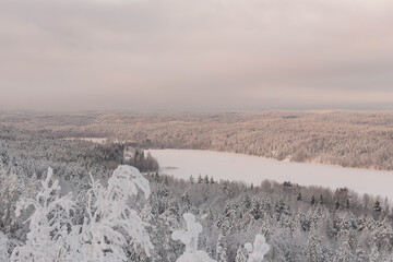 Winter fairy tale in nature	