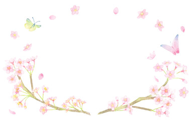 ＜フレーム素材＞水彩画で描かれた、桜と蝶が舞うフレーム（横長の楕円形）