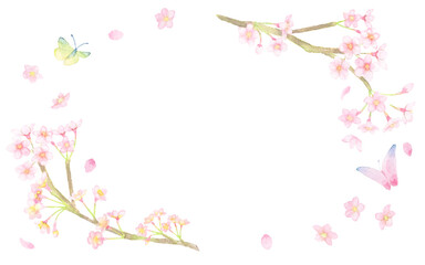 Fototapeta na wymiar ＜フレーム素材＞水彩画で描かれた、桜と蝶が舞うフレーム（横長の楕円形） 