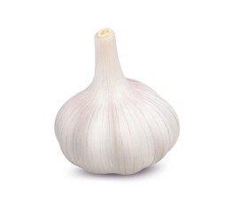 Isolated garlic. Head of dried garlic isolated on white background with clipping path.