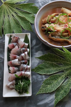 Common Horse Mackerel and Marinated Fish in Hagi, Yamaguchi Prefecture, Japan
