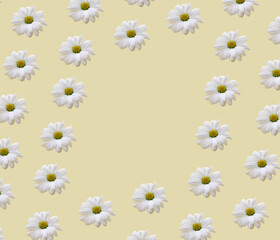 Creative pattern made with white flowers against pastel yellow background. Minimal flat lay.