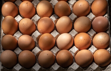 Closeup on fresh chicken eggs on carton with sunlight