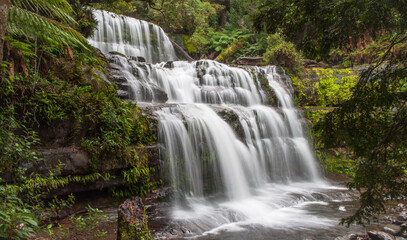 Fototapeta na wymiar Liffey Falls, Tasmania