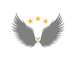 Flying eagle with star on the top