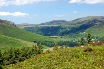 Summer Ireland. Green Valley in the Wicklow Mountains.