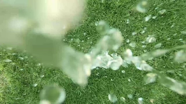 grass with dew drops
