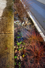 After the storm, floodwater running down the garden median on a sunny day
