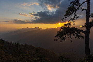 Landscape of mountain range in coniferous tree forest with dramatic sky at sunset time.