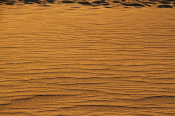 Ripples in the desert sand lit be early morning light.