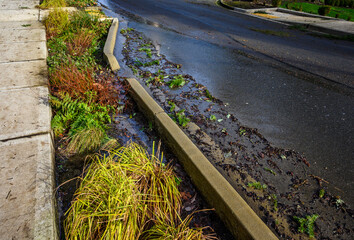 After the storm, floodwater running down a residential street on a sunny day
