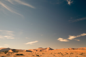Desert landscape with sand dunes and big blue sky