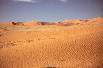 Fototapeta na wymiar Textured desert landscape with sand dunes