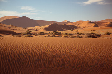 Fototapeta na wymiar Textured desert landscape with sand dunes