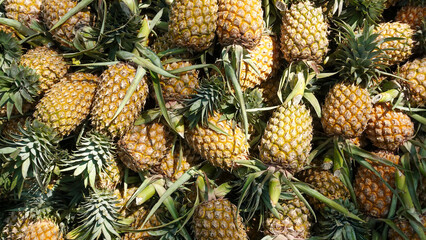 Many thai fruit pineapple background texture