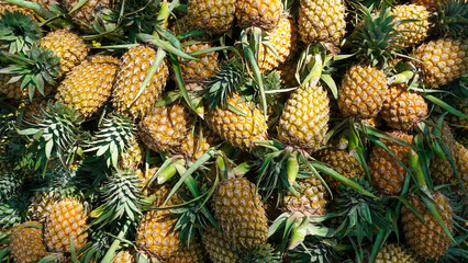 Many thai fruit pineapple background texture