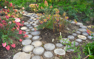 Creative design of wooden walkway made from a tree trunk cut into circles. Flower beds with pink hydrangea. Garden decoration