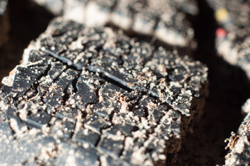Mud rubber with good tread close-up in mud, close-up