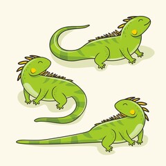  iguana cartoon illustrations set collections