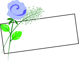 vector drawing rose with  card border