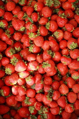 strawberries in a market