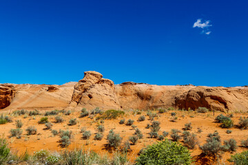 Desert Landscape in Arizona, United States