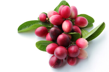Carandas plum fruits, Carissa ( carandas Linn, Carunda, Karonda, Bengal currants, Mango yawning lime boo on white background. Fruit with medicinal properties.