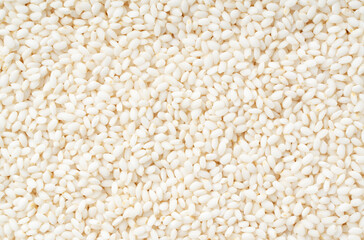 Glutinous rice spread over the entire screen