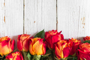 Red and yellow roses on white wooden background. Flat lay, top view, free copy space. - 407576255