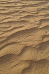 sand ripples in the desert