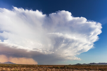Thunderstorm cumulonimbus cloud and haboob dust storm in the Arizona desert